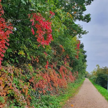 Apartment Haus Kanalegrande *